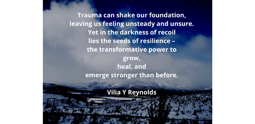 Trauma and your Foundation - Terrence Munodei